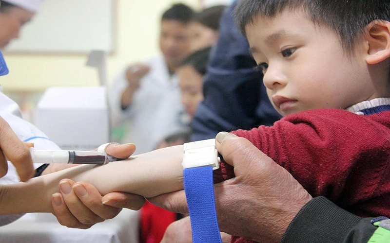 Một cháu nhỏ ở huyện Thuận Thành (Bắc Ninh) được lấy máu xét nghiệm ký sinh trùng sán lợn miễn phí. Ảnh: Trần Cường