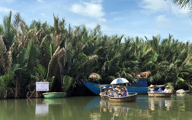 Khách du lịch tham quan rừng dừa Bảy Mẫu (Cẩm Thanh) bằng thuyền thúng.