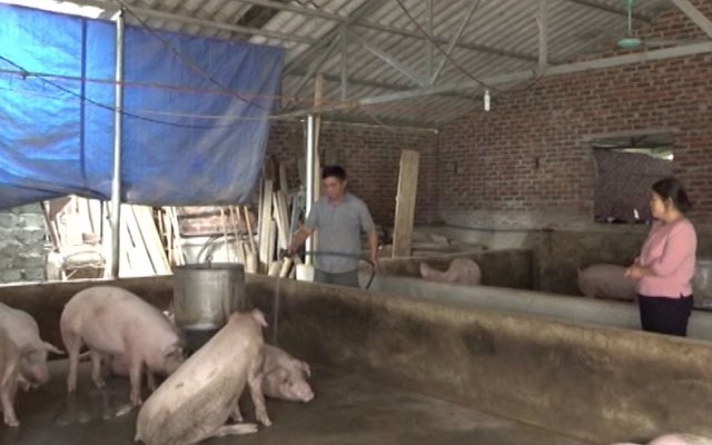Hiện nay, ngành chăn nuôi lợn của khu vực đang phải đối mặt với một số thách thức lớn như biến động giá cả thịt lợn, các mối quan ngại về an toàn thực phẩm và dịch tả lợn châu Phi.