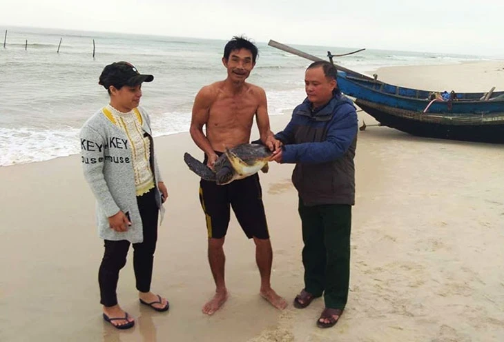 Một ngư dân Quảng Trị hai lần tặng lại rùa quý hiếm