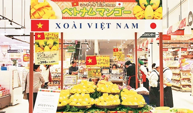 Những trái xoài Việt Nam được bày bán tại siêu thị Aeon ở tỉnh Chiba, Nhật Bản. Ảnh: TUYẾN QUÂN