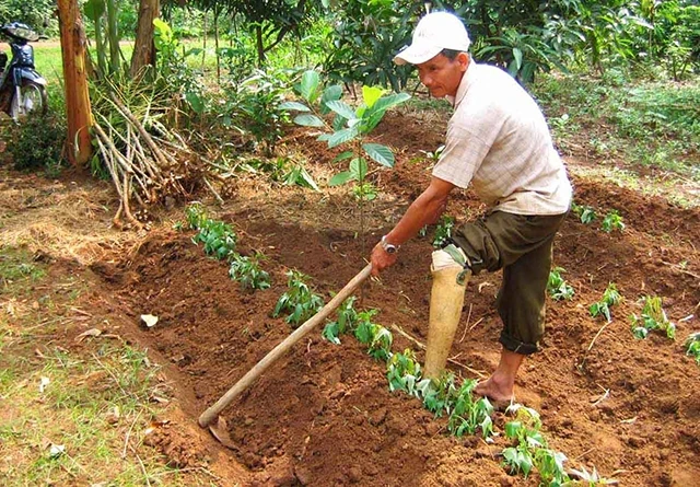 Một trong hơn 8.500 nạn nhân bom mìn ở Quảng Trị.