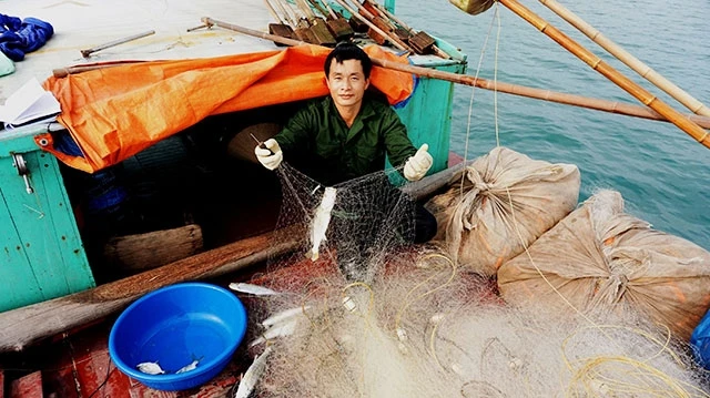 Biển khơi ngày càng ít cá, anh Lê Văn Tuyến (Yên Hưng, Quảng Ninh) buồn rầu nói.