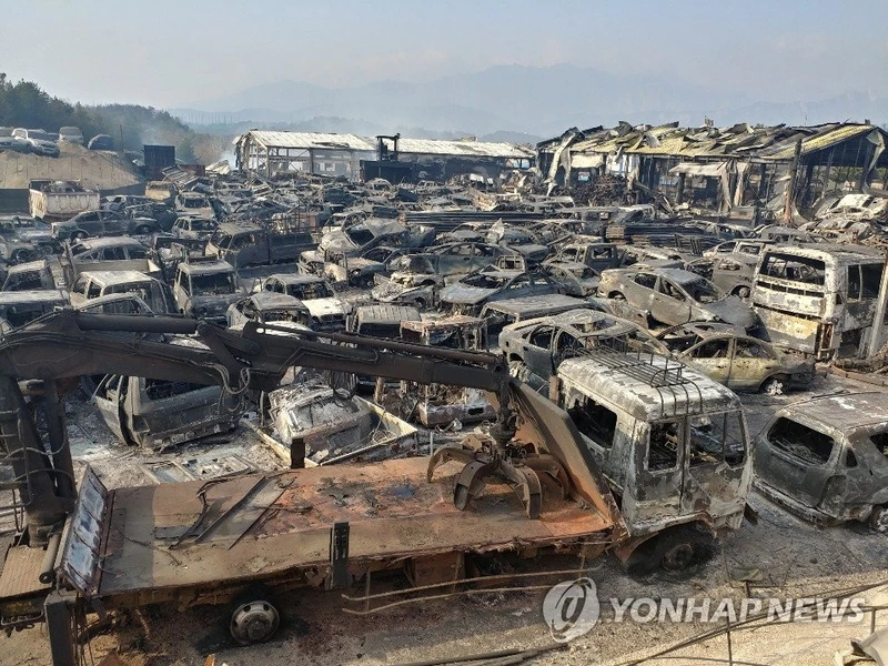 Nhiều công trình, nhà cửa và phương tiện bị thiêu trụi trong đám cháy ở tỉnh Gangwon (Ảnh: Yonhap)