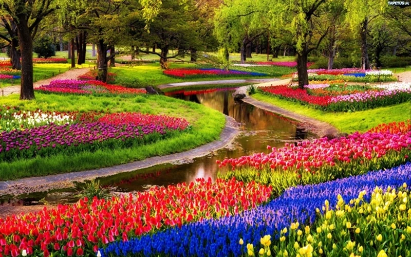 Nằm tại Lisse, một thị trấn nhỏ ở phía nam thủ đô Amsterdam, công viên Keukennhof còn được biết đến là "vườn châu Âu". Đây là vườn hoa lớn nhất thế giới với diện tích khoảng 32 ha và bảy triệu bông ho
