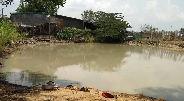 Hồ nước, nơi ba học sinh tiểu học chết đuối thương tâm.