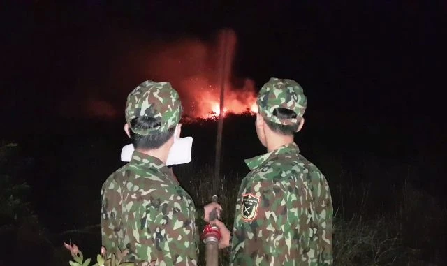Lực lượng chữa cháy nỗ lực dập tắt đám cháy rừng.