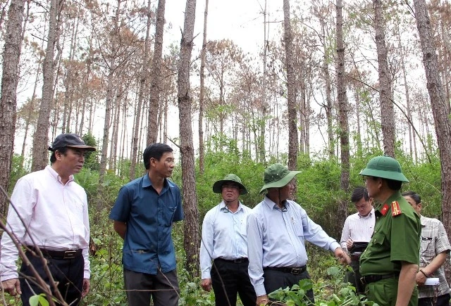 Lãnh đạo tỉnh Lâm Đồng kiểm tra hiện trường vụ hủy hoại rừng thông nghiêm trọng tại xã Tân Thanh, huyện Lâm Hà.