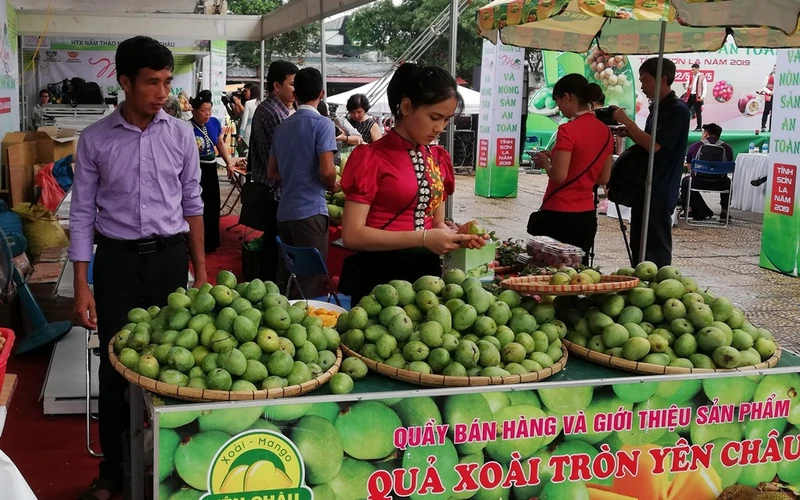 Đưa mận hậu và nông sản an toàn Sơn La về Thủ đô