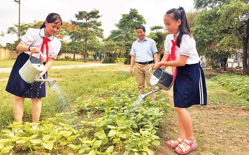 Học sinh Trường tiểu học Thúy Lĩnh (quận Hoàng Mai) chăm sóc vườn rau sau giờ học.