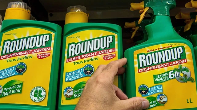 Thuốc diệt cỏ Roundup của Monsanto. Ảnh: GETTY