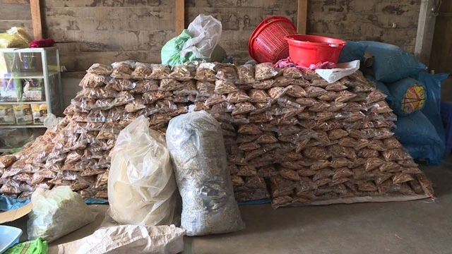 Số lượng lớn nguyên liệu sản xuất thuốc Amakông giả bị lực lượng Công an tỉnh Đác Lắc thu giữ ở huyện Buôn Đôn.