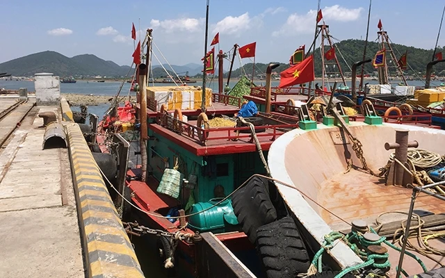 Tàu cá ngư dân neo đậu trái phép tại các bến thuộc cảng biển quốc tế Cửa Lò.