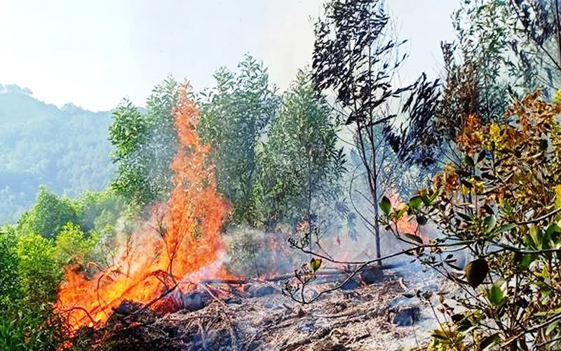 Cháy rừng tại cánh rừng thông ở động Hố Lở thuộc xã Sơn Thành (huyện Yên Thành).