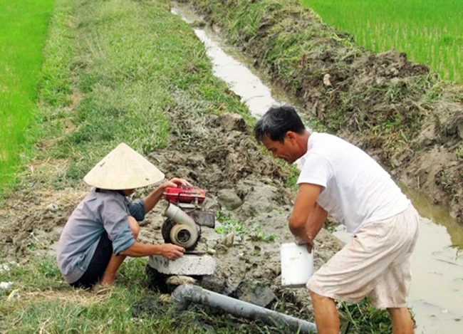 Người dân huyện Đông Sơn (Thanh Hóa) dùng máy bơm dã chiến để cung cấp nước kịp thời cho lúa. Ảnh: HOÀI THU