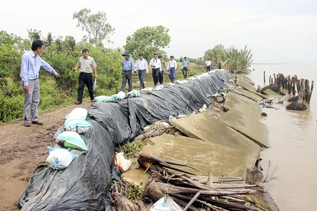 Khảo sát tình trạng sạt lở bờ sông tại xã An Thạnh 3, huyện Cù Lao Dung (Sóc Trăng). Ảnh: THIỆN HẢI