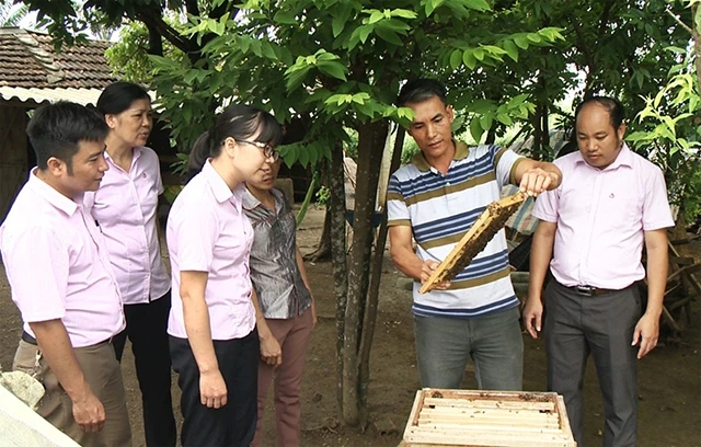 Ông Nguyễn Gia Hùng ở xã Kỳ Phú, huyện Nho Quan (Ninh Bình) vay 30 triệu đồng từ Ngân hàng Chính sách xã hội để nuôi ong lấy mật, đến nay gia đình ông đã thoát nghèo. 