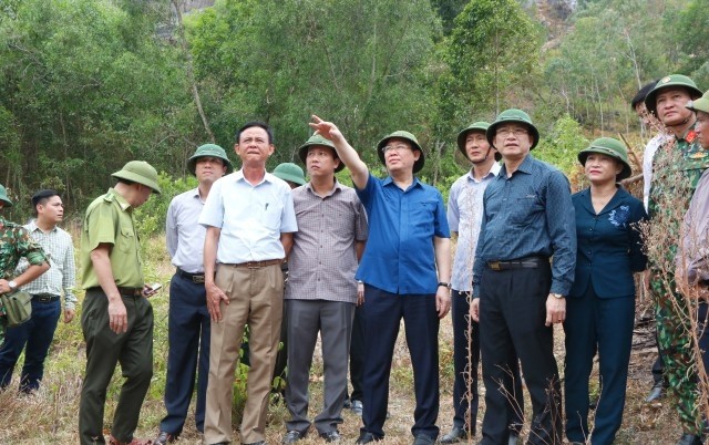 Hà Tĩnh, Quảng Nam, Quảng Ngãi cơ bản đã khống chế, dập tắt cháy rừng
