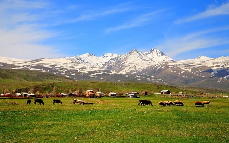 Khung cảnh bình yên chung quanh núi Aragats. (Ảnh: Alexander Mkhitaryan B)