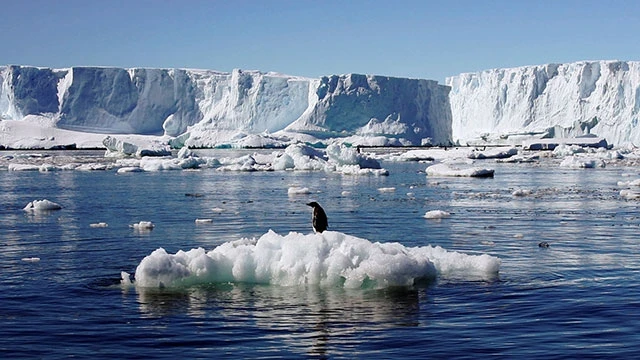 Một diện tích băng lớn ở Nam Cực biến mất bí ẩn. Ảnh: REUTERS