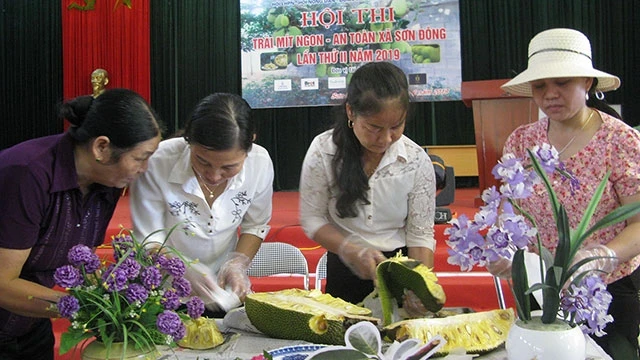 Người dân Sơn Đông tham gia cuộc thi Lễ hội trái mít ngon, an toàn Sơn Đông 2019.