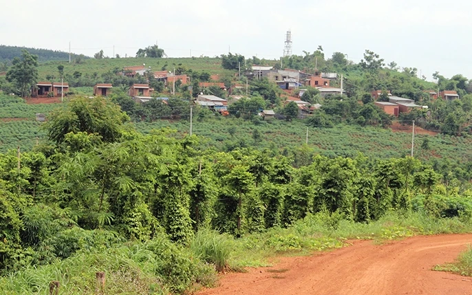 Khu tái định cư Ðắk Ơ, huyện Bù Gia Mập đã trở thành khu dân cư đông đúc.