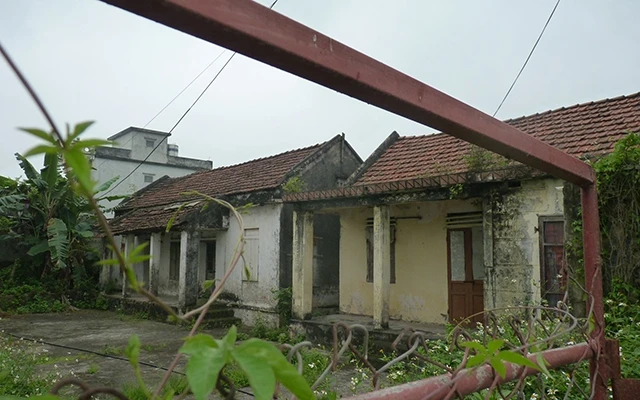 Những căn nhà bỏ hoang, cỏ dại mọc um tùm ở Xuân Thượng (Xuân Trường, Nam Định).