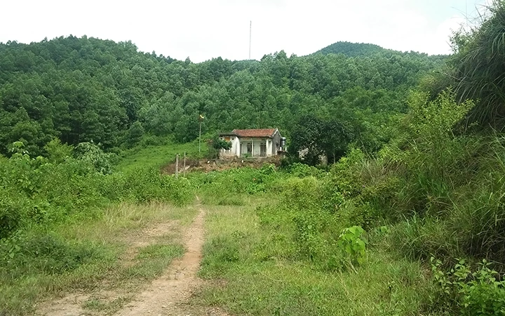 Tại xã Cây Thị, huyện Đồng Hỷ, nhiều diện tích đất lâm nghiệp sát nhà dân nhưng Công ty Lâm nghiệp Thái Nguyên chưa giao cho dân quản lý, sử dụng.