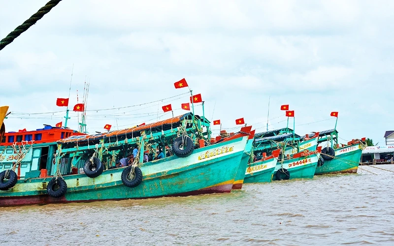 Đội tàu xa bờ của ngư dân Cà Mau vươn khơi bám biển.