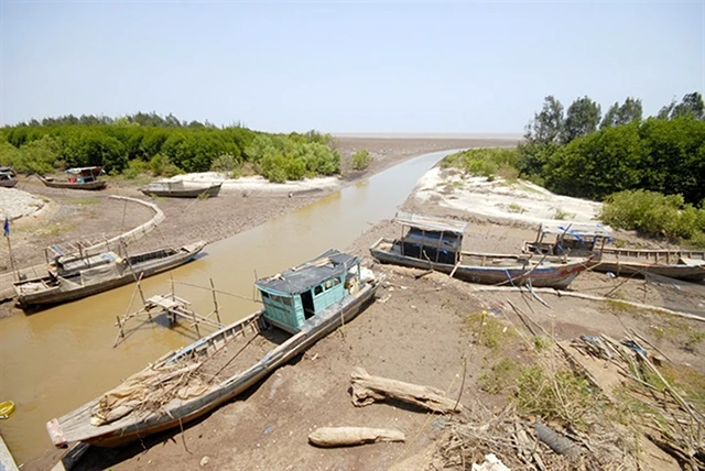 Tình trạng xâm nhập mặn và khô hạn tại đồng bằng sông Cửu Long đang diễn ra gay gắt hơn trung bình nhiều năm.Ảnh: HOÀNG VŨ