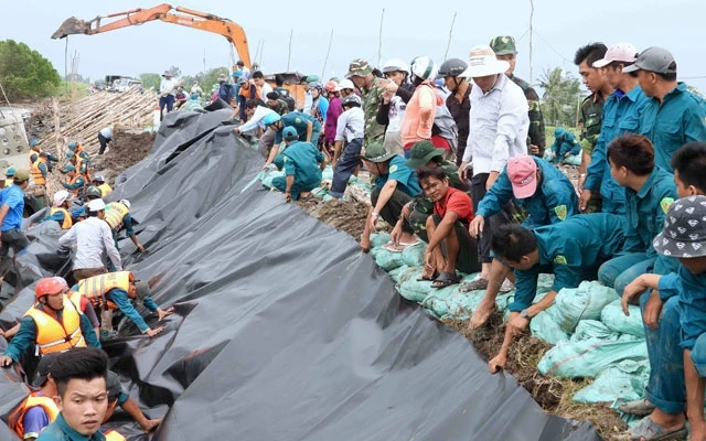 Cà Mau huy động lực lượng hùng hậu gia cố chân đê bị sạt lở, đoạn Đá Bạc - Kênh Mới.