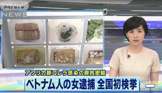 Những thực phẩm trong hành lý của du học sinh sang Nhật Bản. Ảnh: Ashahi.