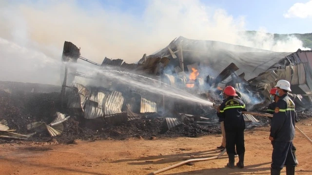 Cháy nhà kho chứa dăm gỗ gây thiệt hại nghiêm trọng tại Bình Định
