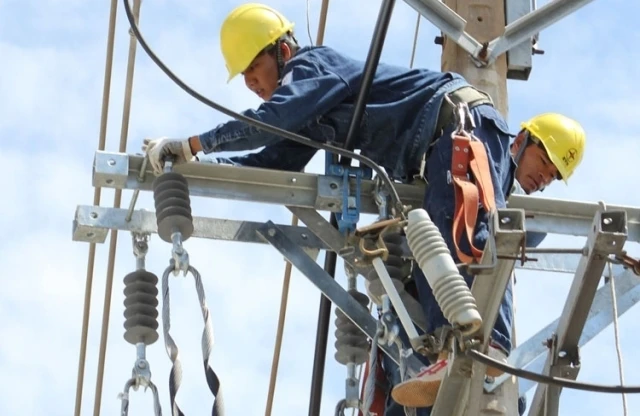 Công nhân EVNHCMC sửa chữa, bảo trì lưới điện.