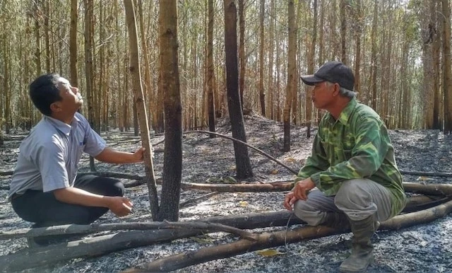 Bốn héc-ta rừng keo trồng được 5 năm tuổi của gia đình ông Cao Nguyên Lâm nghi bị kẻ xấu đốt cháy.
