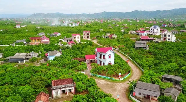 Vẻ đẹp tươi mới của nhà vườn thôn Ngọt, xã Hồng Giang (Lục Ngạn).