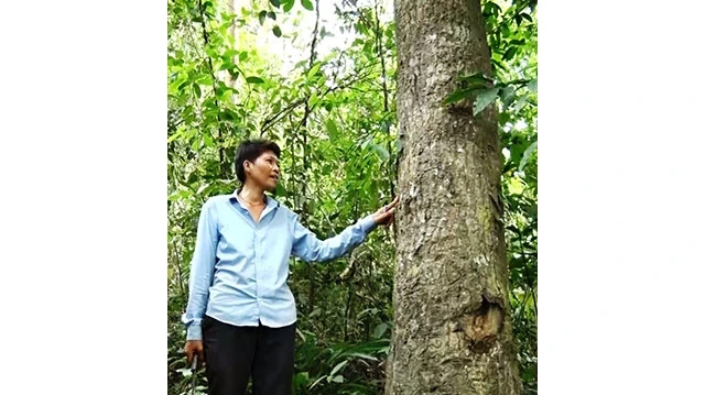 Người dân bản Ông Tú, xã Trọng Hóa luôn có ý thức bảo tồn và phát triển rừng.