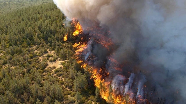 Cháy rừng đang lan rộng tại Amazon. Ảnh: WN