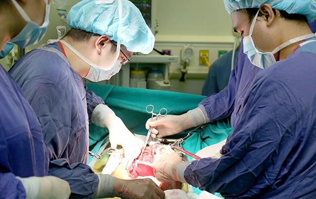 Các bác sĩ Bệnh viện Hữu nghị Việt - Đức thực hiện một ca ghép tạng.