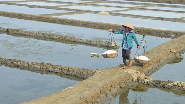 Chật vật với muối nhưng cuộc sống diêm dân Sa Huỳnh vẫn khó khăn.