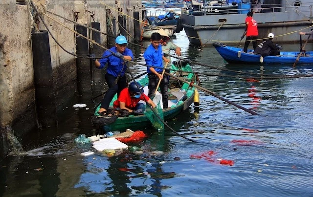 Đoàn viên thanh niên vớt rác tại Cảng cá Quy Nhơn.