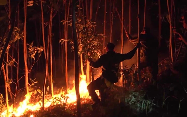 Cán bộ, chiến sĩ, dân quân và nhân dân Phú Yên nỗ lực dập lửa trong đêm.