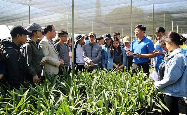 Anh Phan Thanh Sang (thứ tư từ phải sang), chủ trang trại YSA Orchid (Lâm Đồng) giới thiệu cách thức trồng các loại hoa lan với đại diện các thanh niên có nhu cầu khởi nghiệp. 