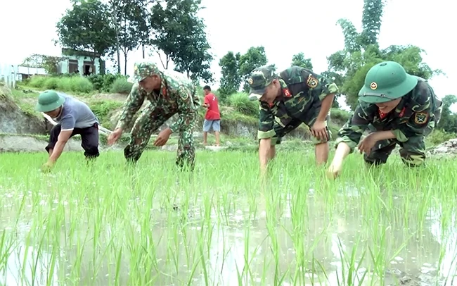 Thượng úy quân nhân chuyên nghiệp Nguyễn Thị Trinh cùng đồng đội làm cỏ lúa giúp đồng bào dân tộc thiểu số trên địa bàn tỉnh Kon Tum.