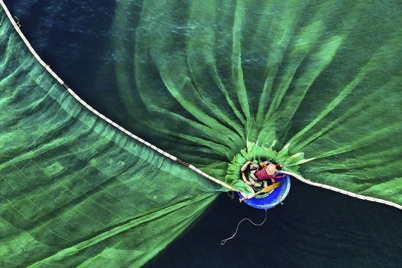 "Vũ điệu trên biển" của nhiếp ảnh gia Lê Văn Vinh, Việt Nam đã chiến thắng ở hạng mục Con người và thiên nhiên của cuộc thi ảnh Bảo tồn thiên nhiên thế giới 2019.