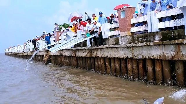 Thả cá phóng sinh nhằm tái tạo nguồn lợi thủy sản tại xã Đất Mũi.