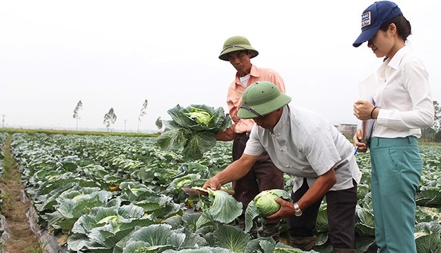 Mô hình thương hiệu truyền thông nào phù hợp với doanh nghiệp bạn