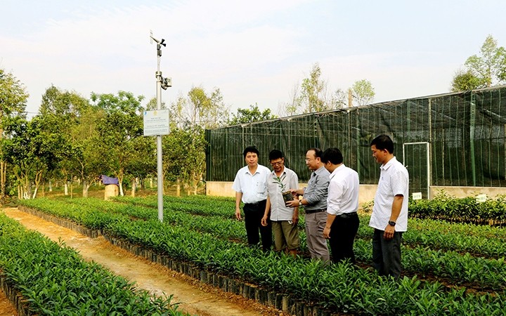Diễn Châu Xây dựng nhân rộng mô hình vườn chuẩn Nông thôn mới