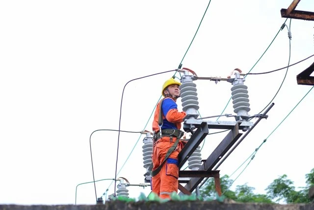 Công nhân Tổng Công ty Điện lực Miền Bắc sửa chữa, bảo dưỡng lưới điện.