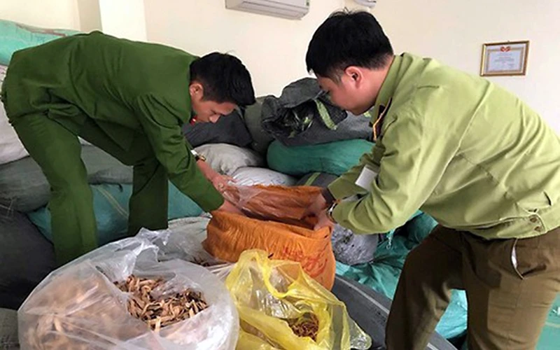 Phòng Cảnh sát kinh tế Công an TP Hà Nội phối hợp các cơ quan chức năng thu giữ hơn bảy tấn nguyên liệu thuốc bắc không có hóa đơn, chứng từ chứng minh nguồn gốc. Ảnh: Linh Chi